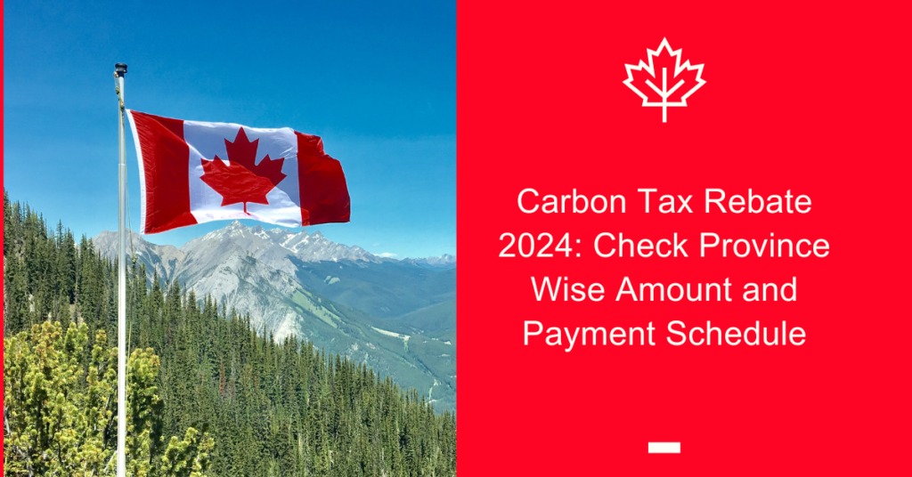 carbon tax rebate

